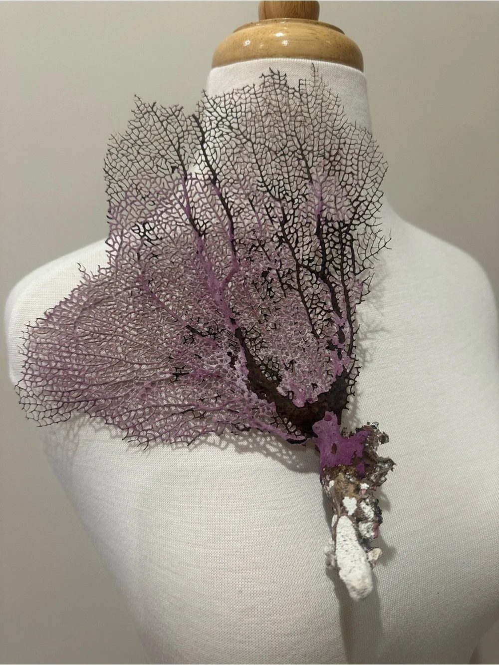 Artisan Purple Sea Fan Coral on Barnacle Base – Tulum, Mexico Beach Decor